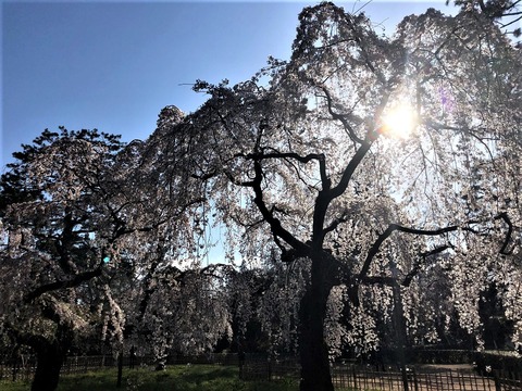 2020-03-25_08-12-05_667 (2)