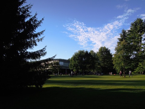 DSCN3382s