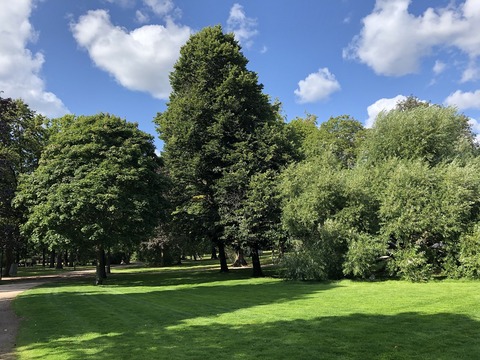 2019-08-22_14-40-03_490