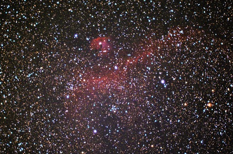 IC2177_SeagullNebura