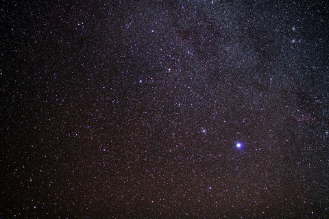 IMG_8721tおおいぬb