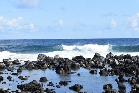 DSC_4123 (1024x683) (2)