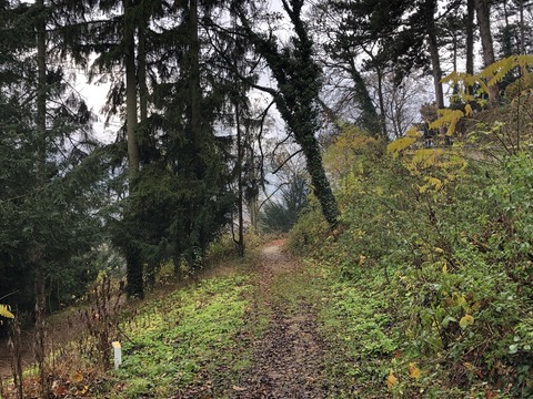 2019-11-28_17-32-26_951