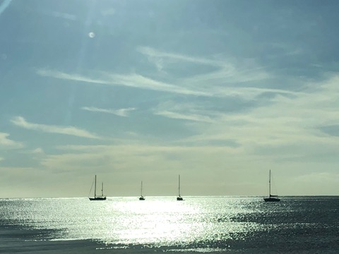 2020-02-21_11-37-25_121