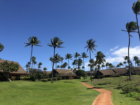 2020-02-22_08-51-51_455