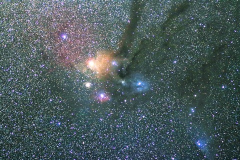 IMG_8262s (2) (1024x683)