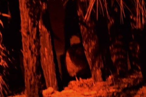 DSC_5334 (1024x683) (2)