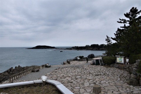 2020-03-17_09-15-22_500