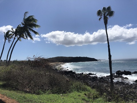 2020-02-22_08-49-28_717