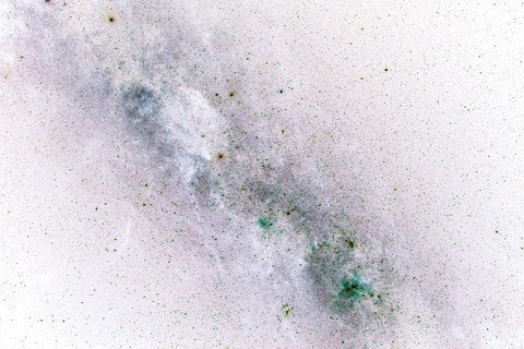 IMG_8293s (1024x683)o