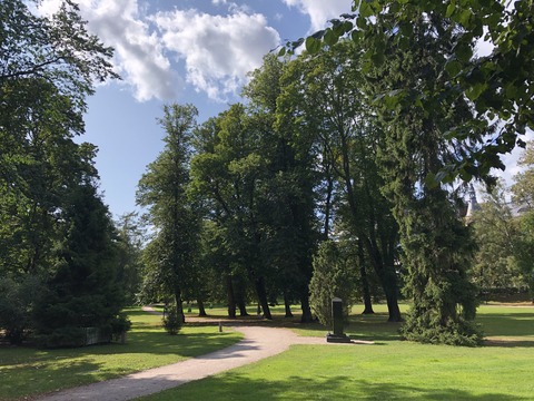 2019-08-22_14-44-41_836