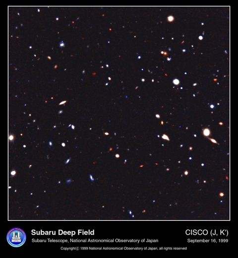 cd9fa36bb6ff16605ec4219e77eae8e432032ff1