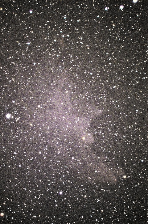 DSC_0974s魔女の横顔 (6) (848x1280)