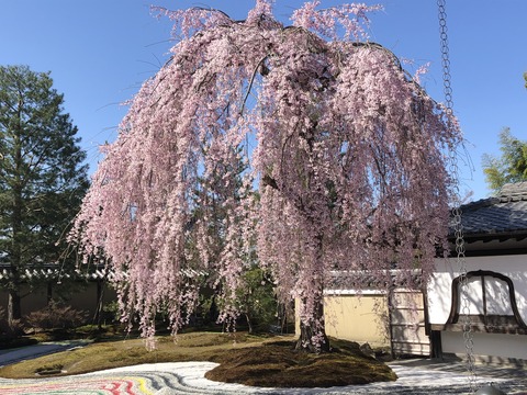 2020-03-25_09-45-02_257