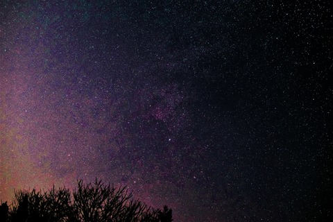 DSC_5428s (3) (1024x683)