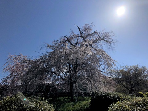 2020-03-25_09-33-16_719