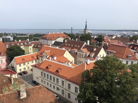 2019-08-26_12-20-09_512