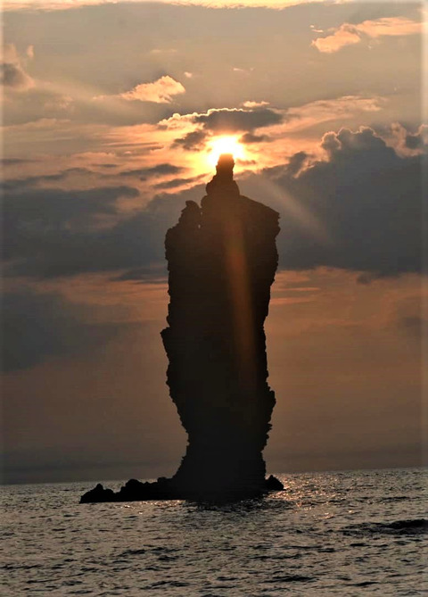 370467375_2392048064315351_1616326681913031846_n