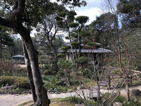 2020-02-05_11-17-38_755s