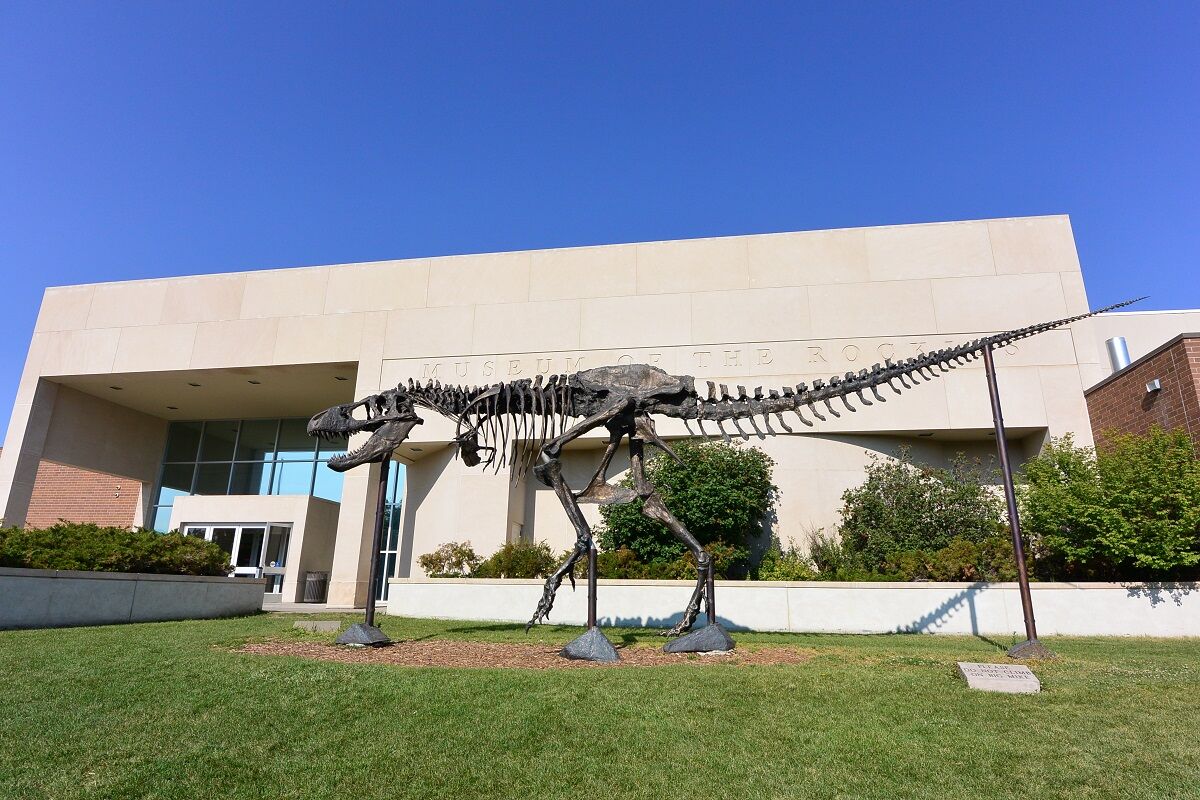 特別編 アメリカの国立公園 ロッキーズ博物館 しない させない させられない