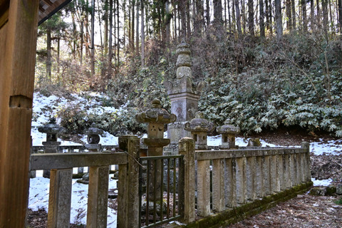 DSC_2540