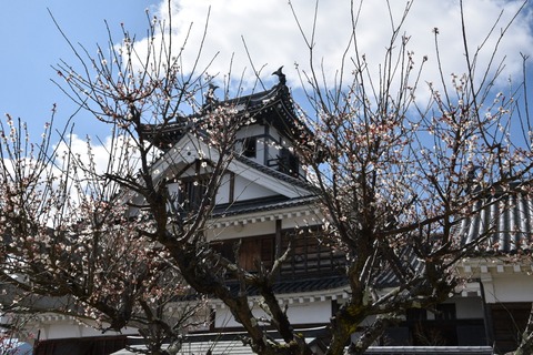 2020-03-06_12-27-23_500