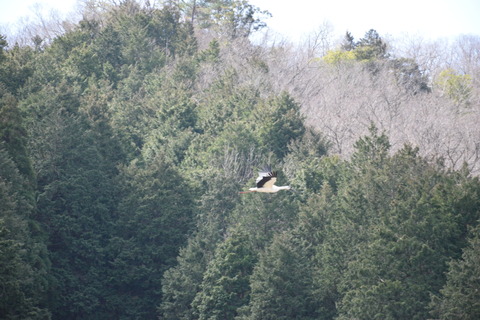 2020-03-06_10-45-19_000 (2020-03-06T23_58_54.501)