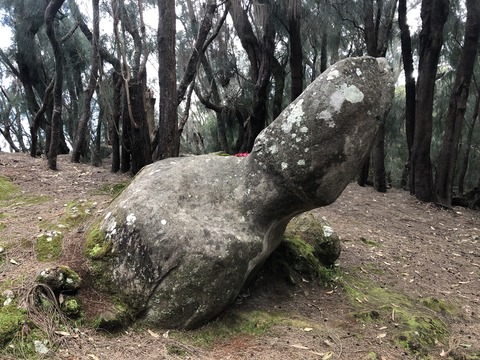 2020-02-22_05-17-02_607