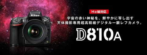 d810A