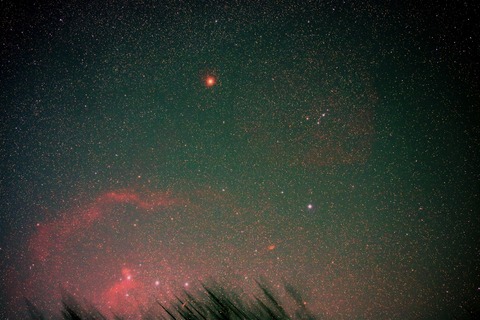 IMG_7877s3 (2) (1024x683)