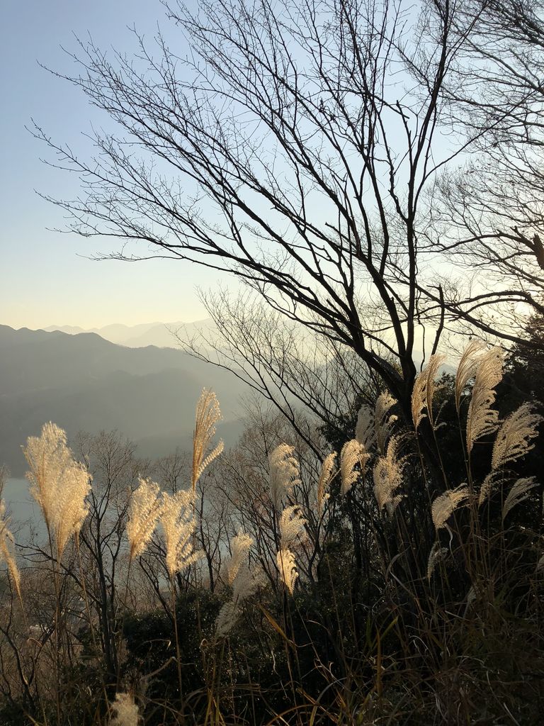 Railsチュートリアル ３章 ほぼ静的なページの作成 まとめ Ruby On Railsを学んで再就職を目指す