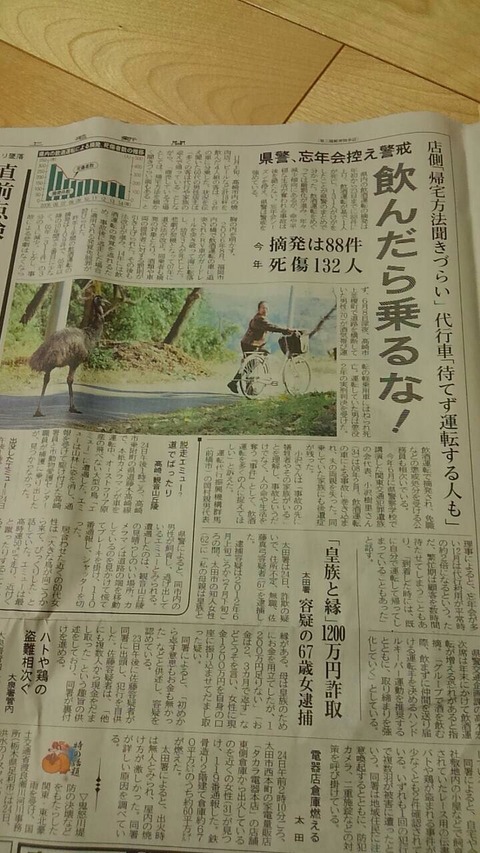 2015あいの会1125上毛新聞003