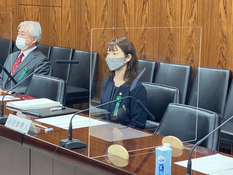 2022あいの会0407参議院参考人_004