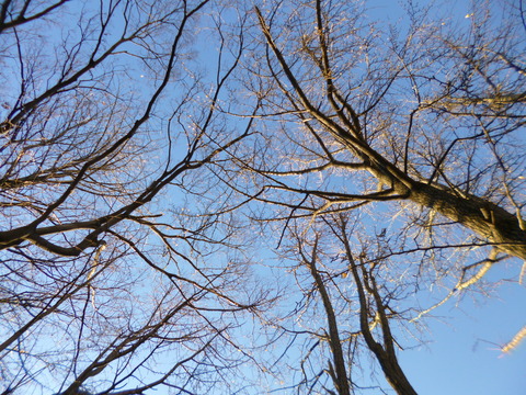 20150103log002