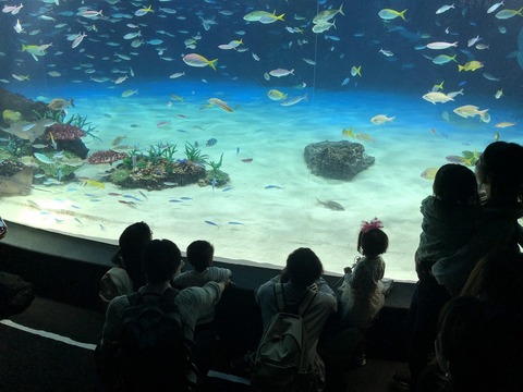 2023あいの会1014サンシャイン水族館1