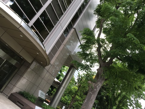 2016あいの会0516BPO001