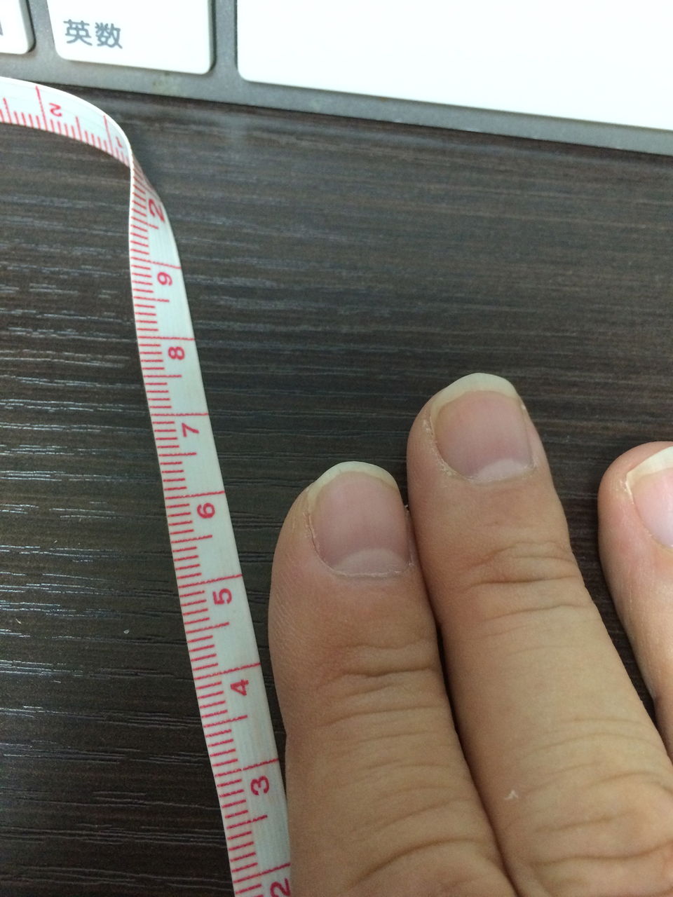 Black Diamond Arc 7 対応のbdry採用グローブ I Shoot The Raw