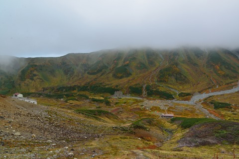 DSC_0219