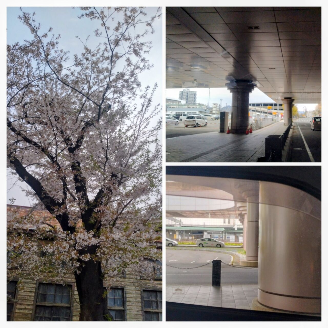 20260418_082232-COLLAGE~2