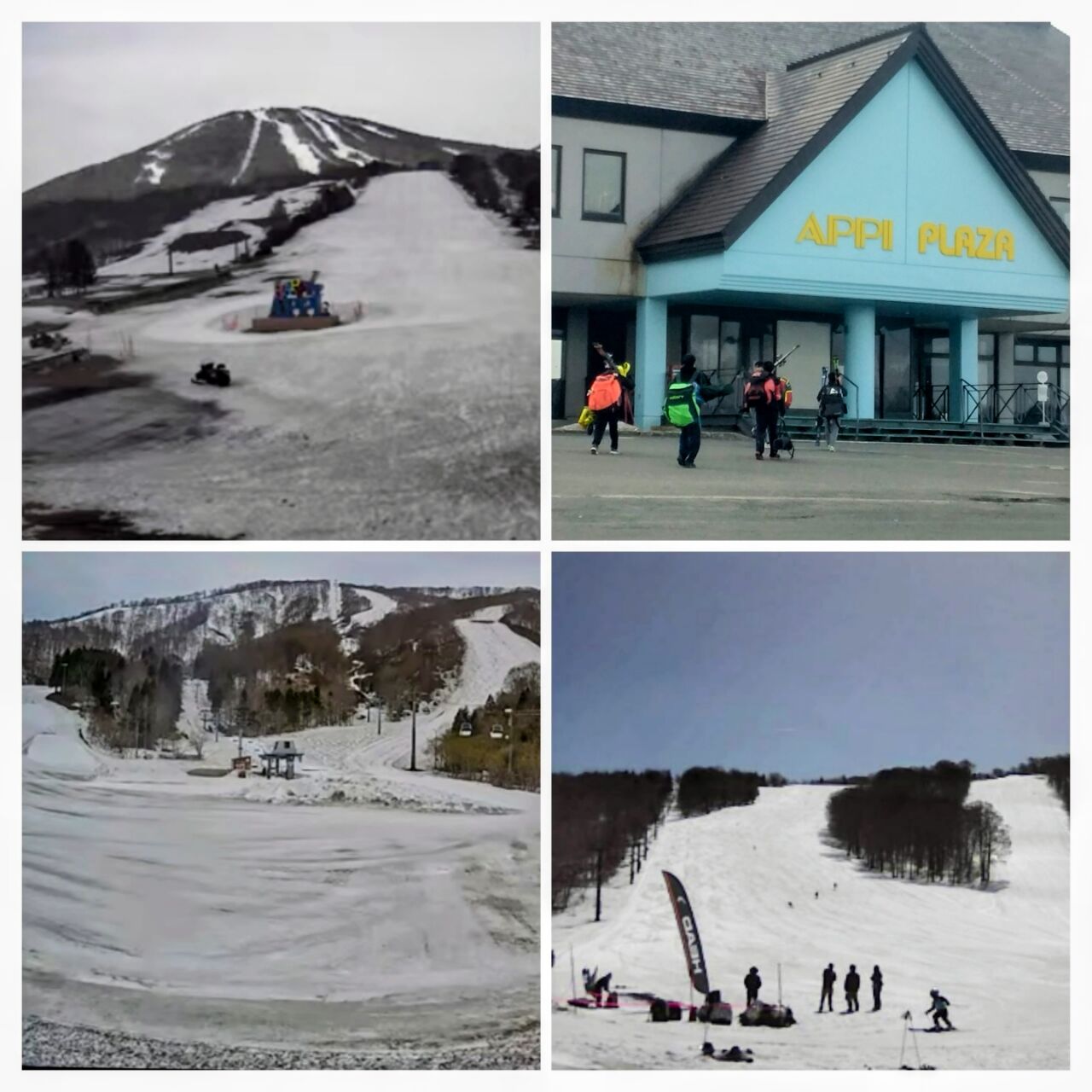 20260418_082134-COLLAGE~2