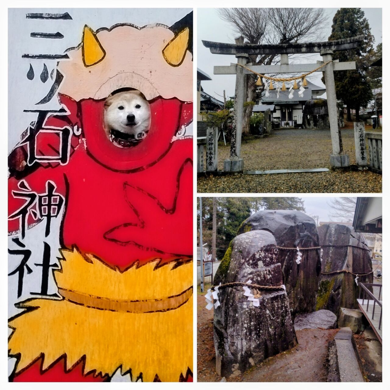 20260404_184117-COLLAGE~2