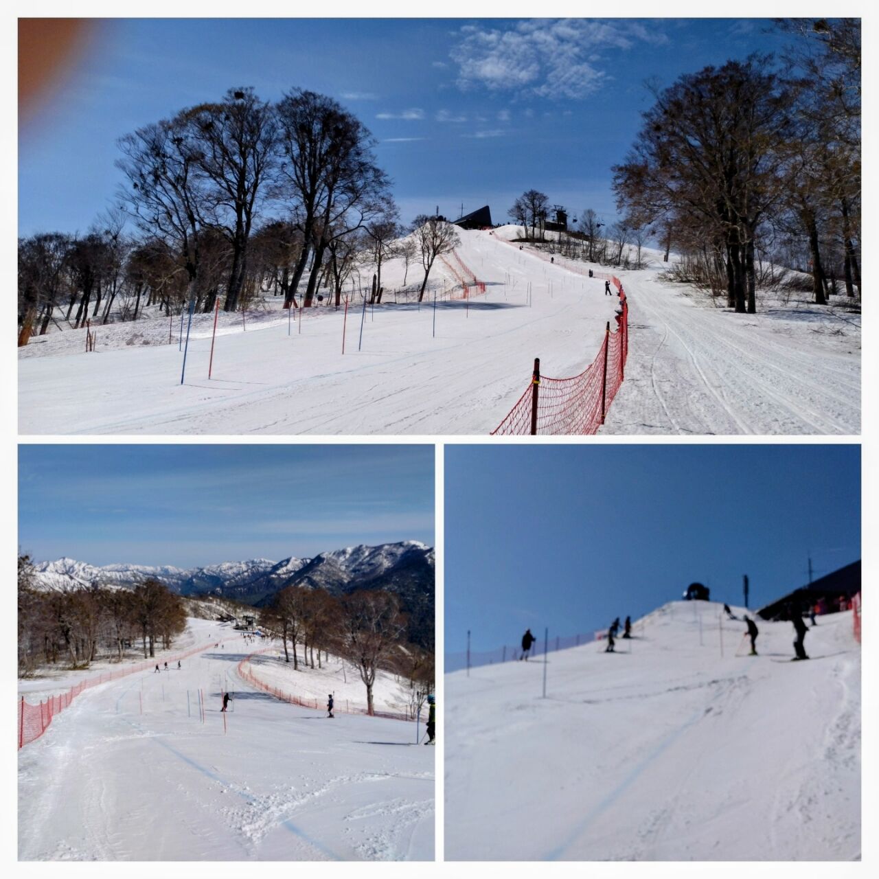 20260422_084819-COLLAGE~2