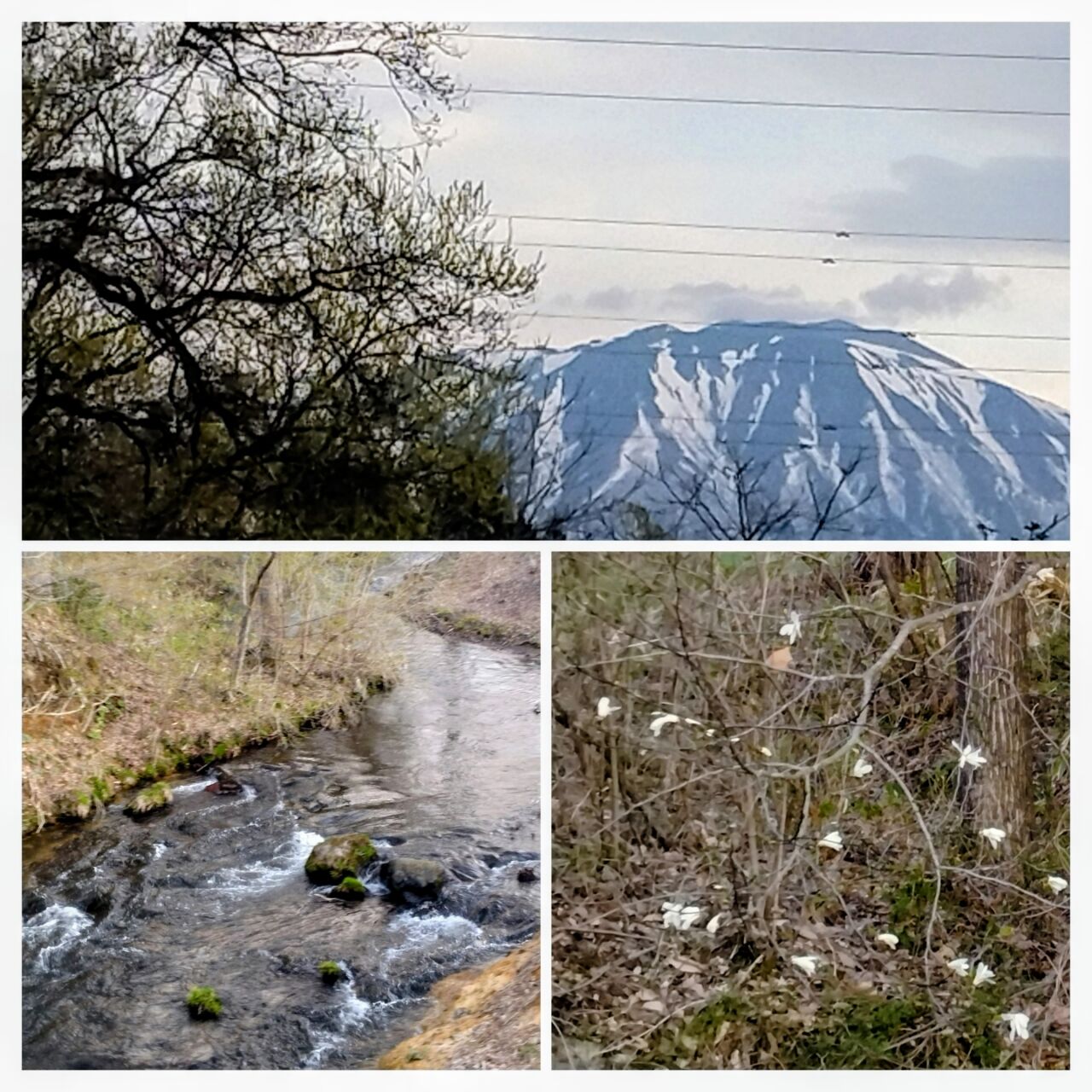 20260418_070338-COLLAGE~2