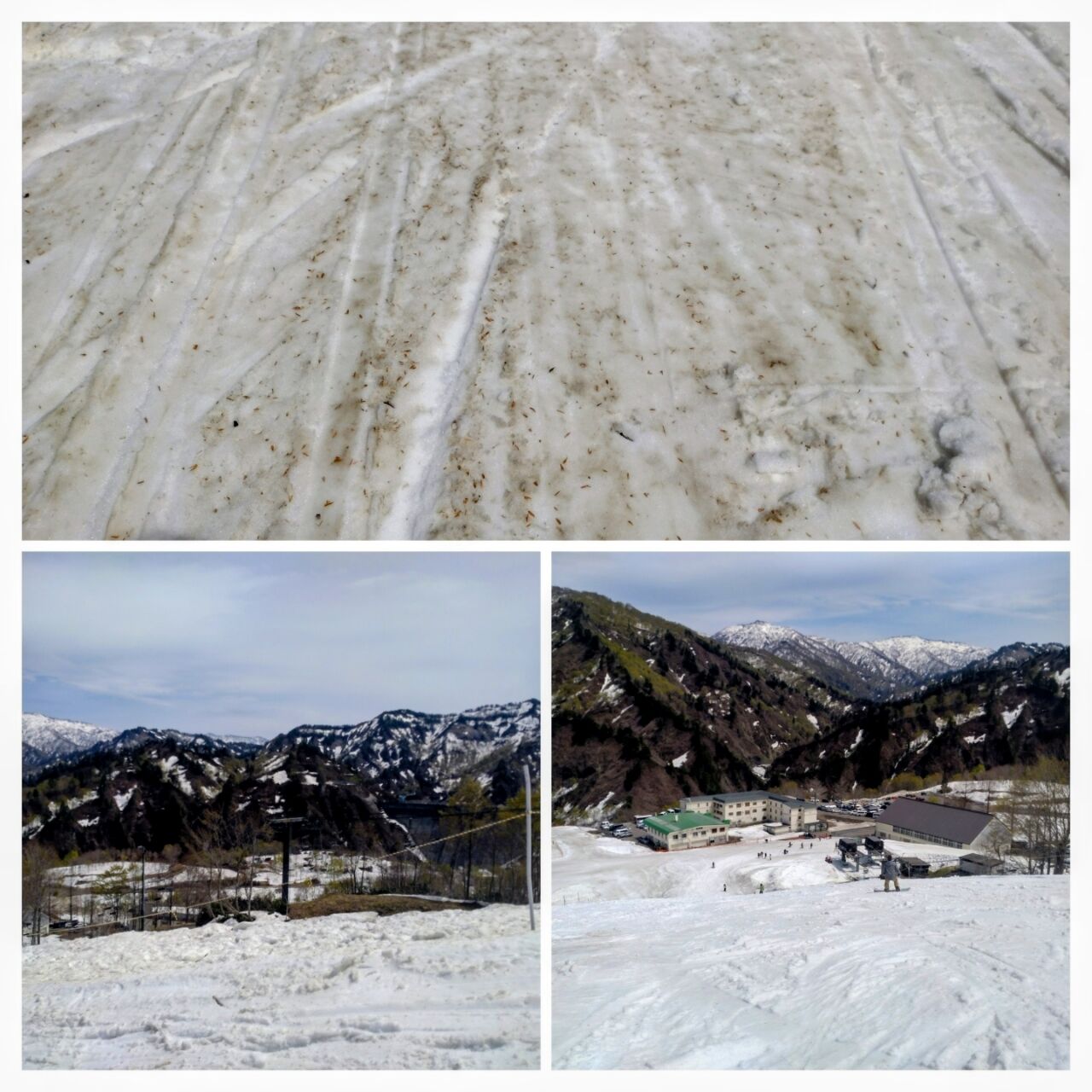 20260422_124602-COLLAGE~2