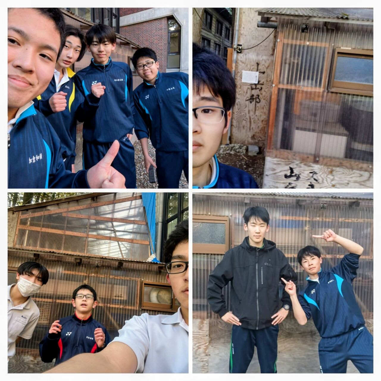 20260416_203341-COLLAGE~2