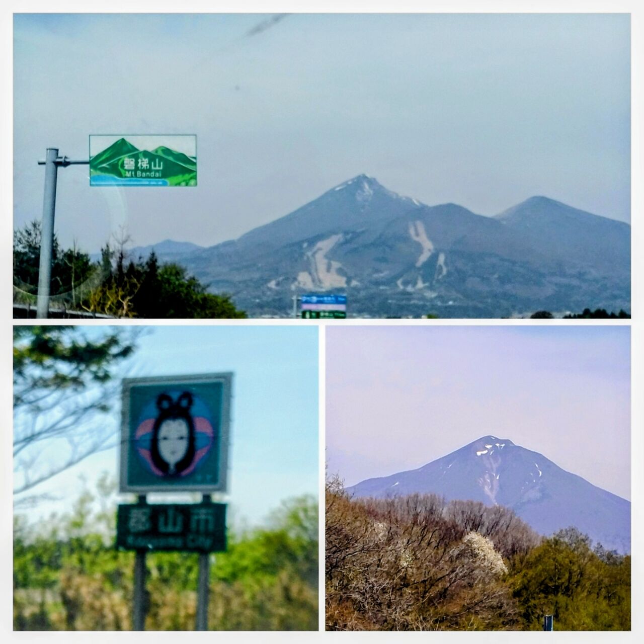 20260420_154617-COLLAGE~3