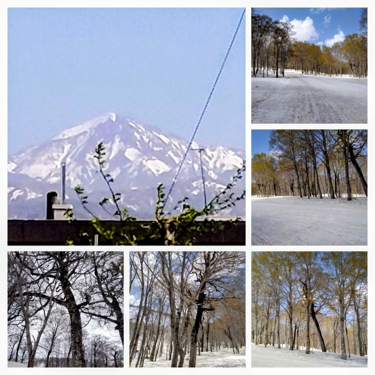 20260421_200957-COLLAGE~2