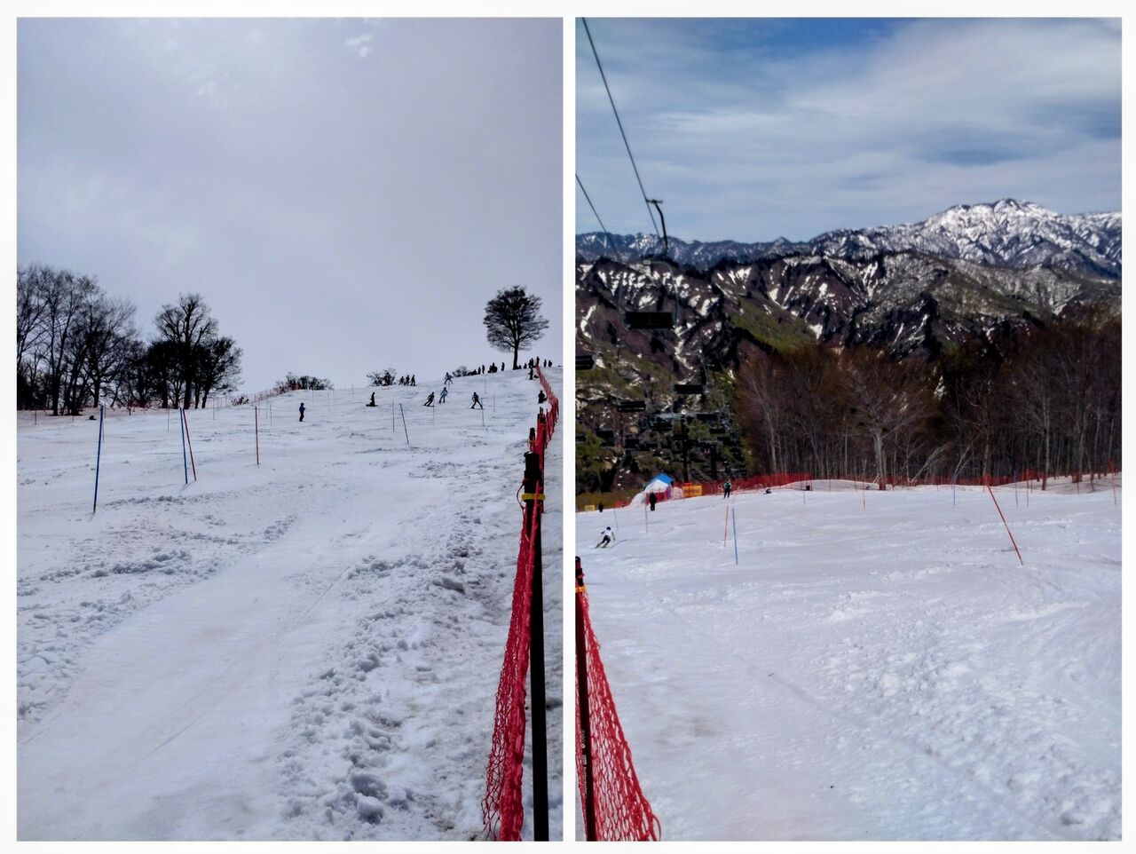 20260422_124527-COLLAGE~2