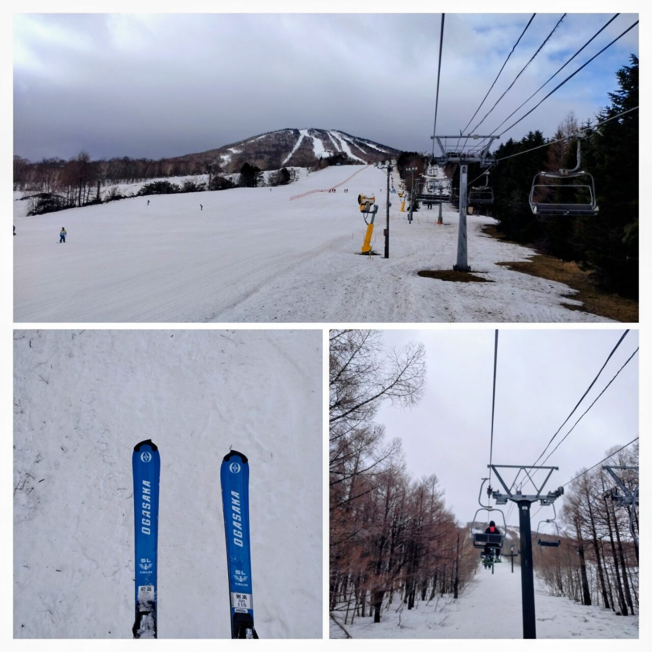 20260405_095037-COLLAGE~2