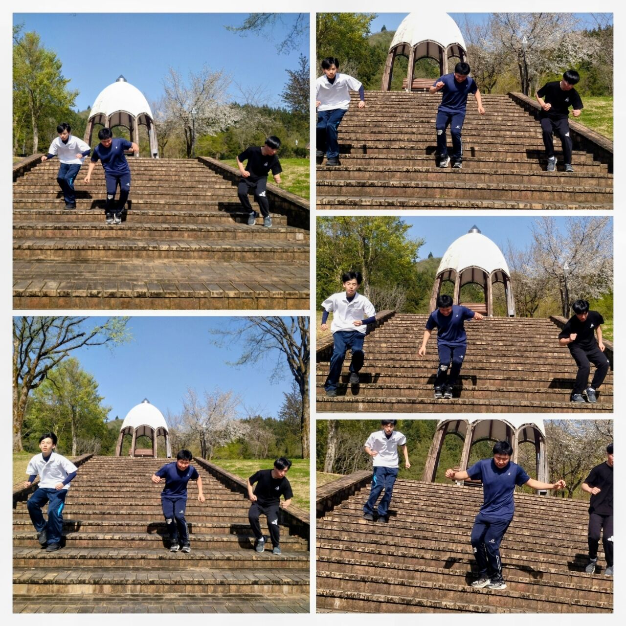 20260420_164531-COLLAGE~2